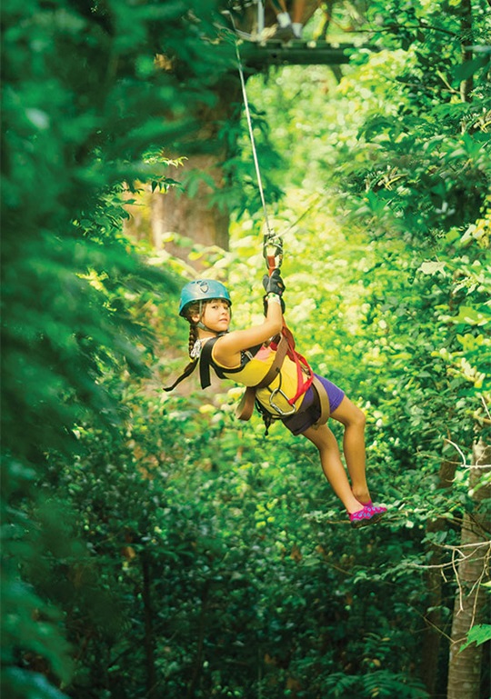 Zipline